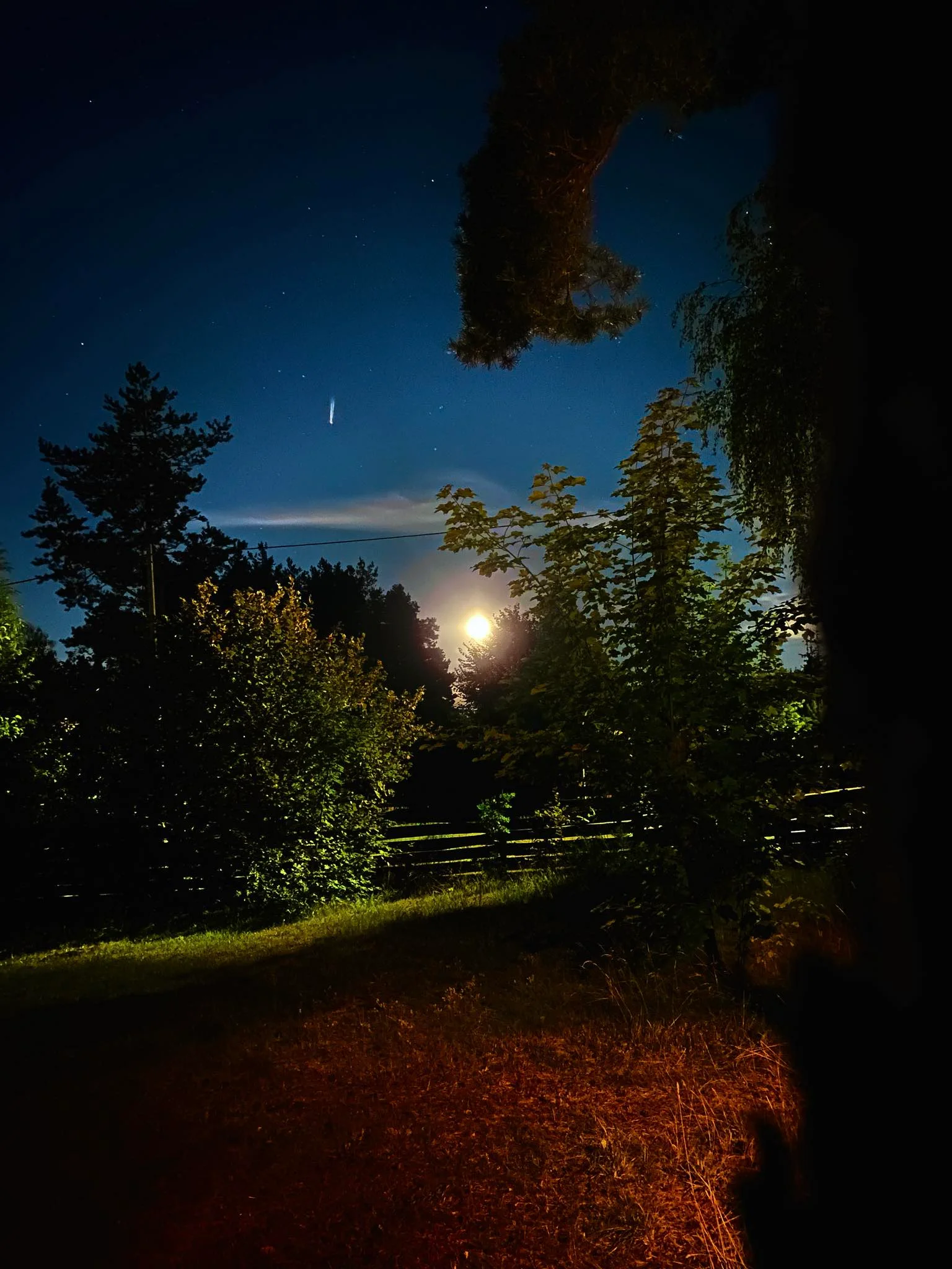 Miejsce na ognisko z drewnem i ławkami z pni
